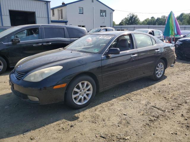 LEXUS ES 330 2004 with VIN JTHBA30G645049442 - Photo from auction