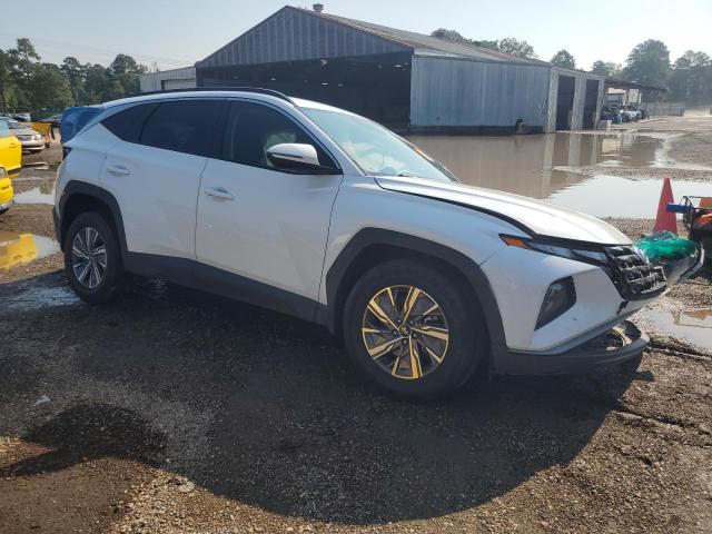 Photo 4 from auction – 2023 HYUNDAI TUCSON BLU with VIN KM8JBCA11PU101974