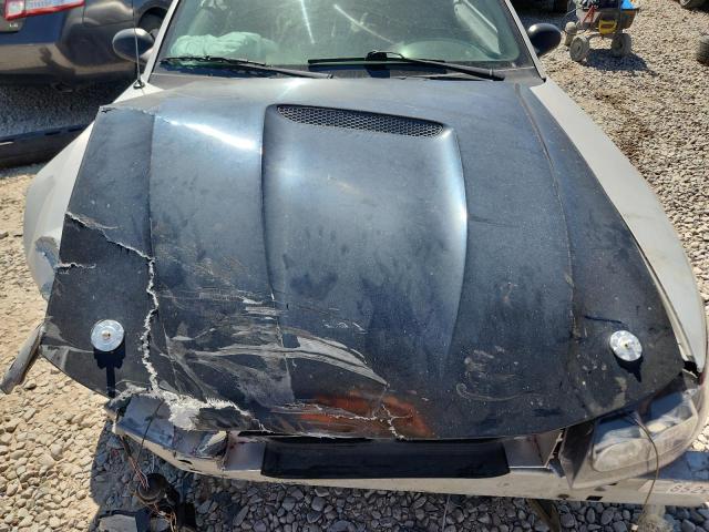Photo 11 from auction – 2000 FORD MUSTANG with VIN 1FAFP4443YF198775