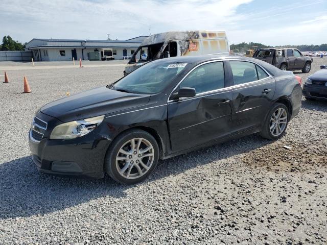 CHEVROLET MALIBU LS 2013 with VIN 1G11B5SA3DU113241 - Photo from auction