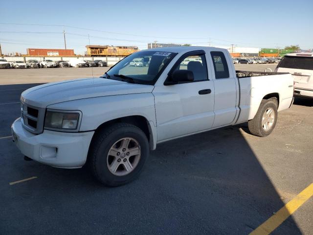 DODGE DAKOTA SXT 2010 with VIN 1D7RW3BK2AS233749 - Photo from auction