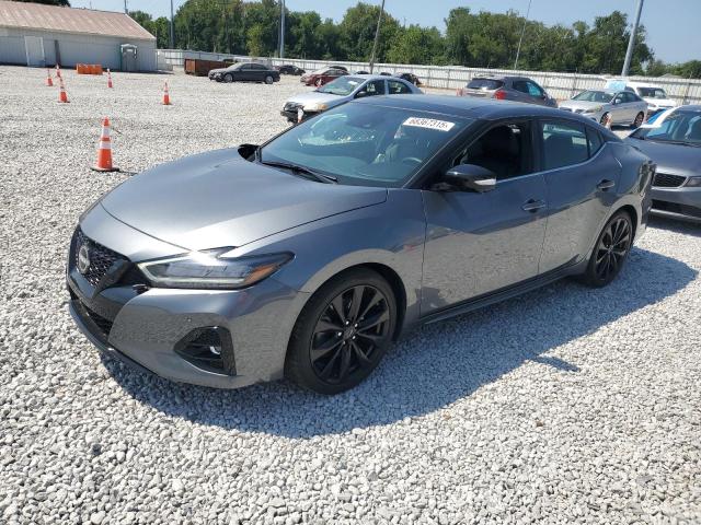 NISSAN MAXIMA SR 2023 with VIN 1N4AA6EV1PC505312 - Photo from auction