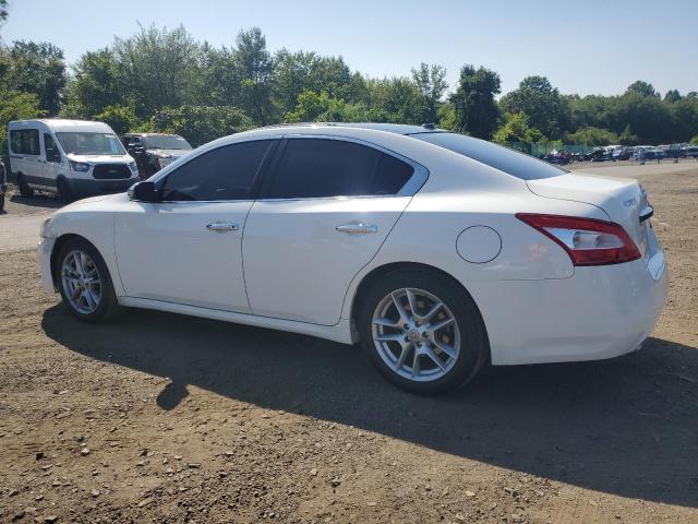 Photo 2 from auction – 2009 NISSAN MAXIMA S with VIN 1N4AA51E29C836791