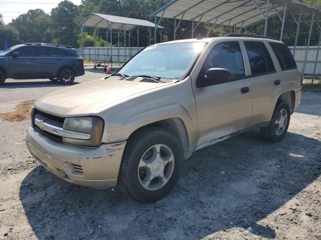 CHEVROLET TRAILBLAZE 2006 with VIN 1GNDS13S062317828 - Photo from auction