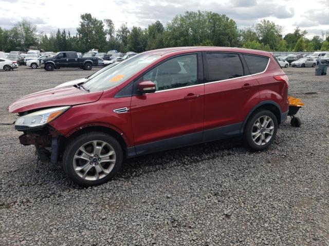 FORD ESCAPE SEL 2013 with VIN 1FMCU9H99DUA49023 - Photo from auction