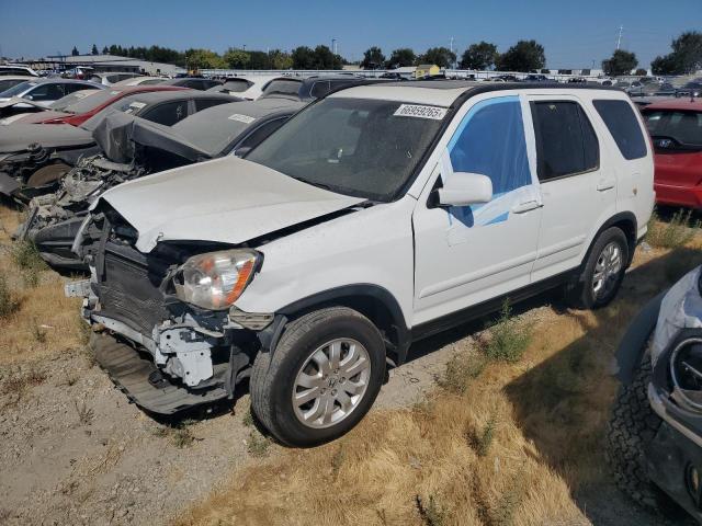 Photo 1 from auction – 2006 HONDA CR-V SE with VIN JHLRD78916C048883