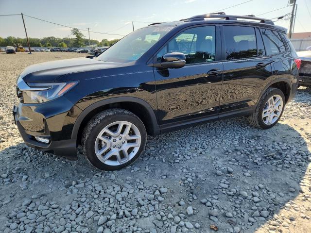HONDA PASSPORT E 2024 with VIN 5FNYF8H5XRB013031 - Photo from auction