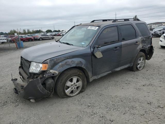 FORD ESCAPE XLT 2009 with VIN 1FMCU03769KC85455 - Photo from auction