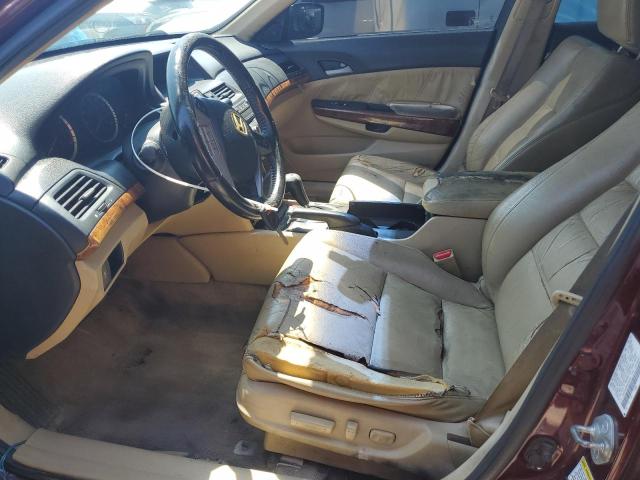 Photo 7 from auction – 2011 HONDA ACCORD EXL with VIN 1HGCP2F8XBA009336