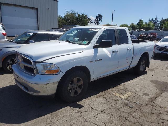 DODGE RAM 1500 2010 with VIN 1D7RV1GT5AS243720 - Photo from auction