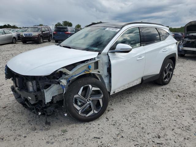 HYUNDAI TUCSON LIM 2023 with VIN KM8JECA1XPU102709 - Photo from auction