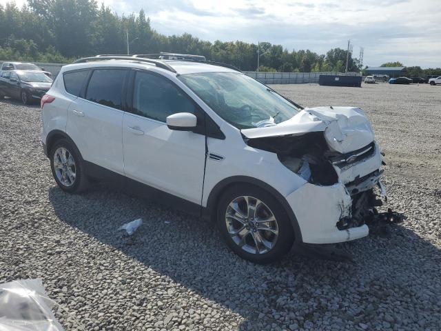 Photo 4 from auction – 2014 FORD ESCAPE SE with VIN 1FMCU0GX7EUD72161