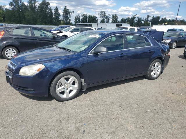 CHEVROLET MALIBU LS 2011 with VIN 1G1ZB5E17BF237142 - Photo from auction