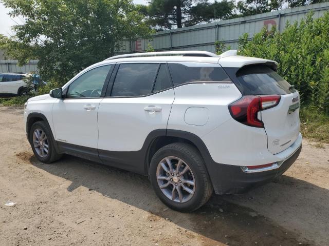 Photo 2 from auction – 2023 GMC TERRAIN SL with VIN 3GKALVEG1PL247950