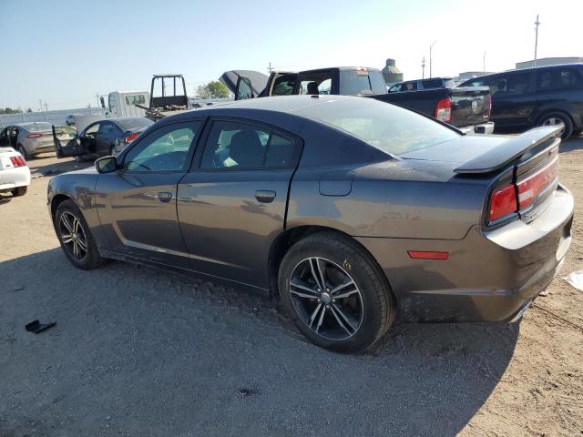 Photo 2 from auction – 2014 DODGE CHARGER R/ with VIN 2C3CDXDT8EH351762