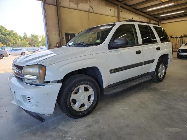 CHEVROLET TRAILBLAZE 2003 with VIN 1GNDS13SX32278306 - Photo from auction