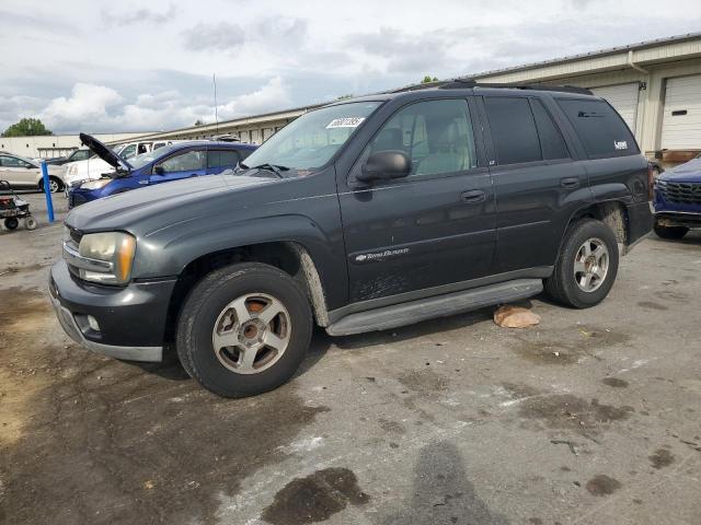 CHEVROLET TRAILBLAZE 2003 with VIN 1GNDS13S332364458 - Photo from auction