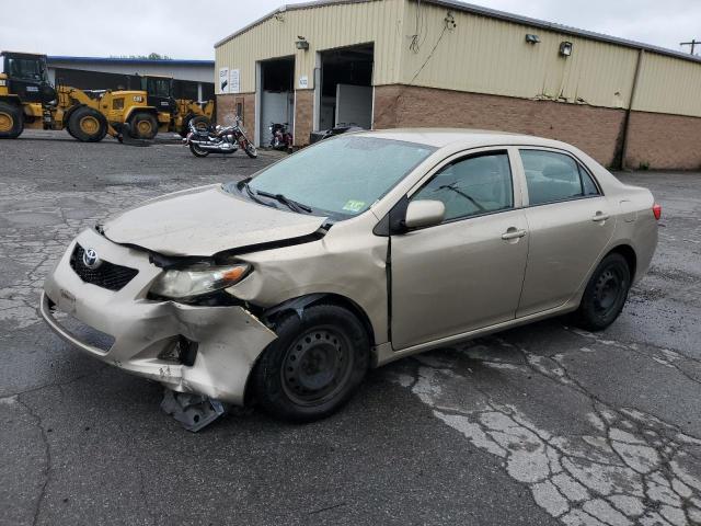 TOYOTA COROLLA BA 2010 with VIN 2T1BU4EE3AC323359 - Photo from auction