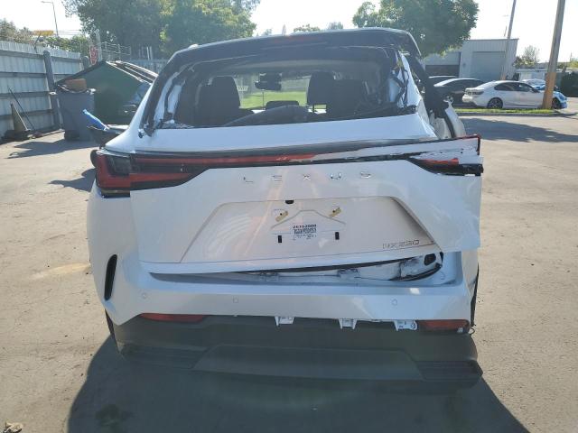 Photo 6 from auction – 2025 LEXUS NX 250 BAS with VIN 2T2ADCAZ5SC026055