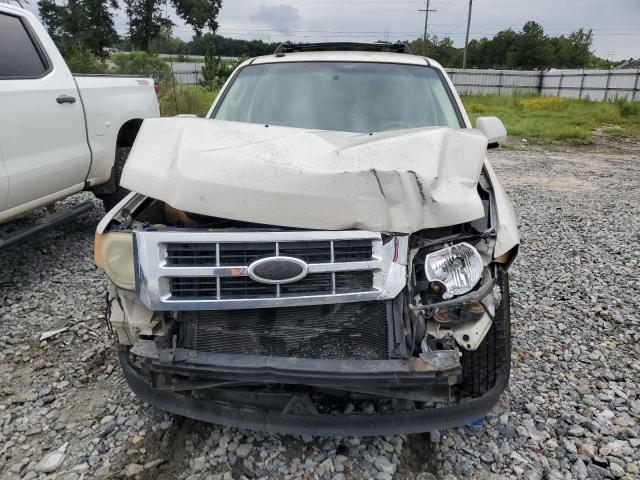 Photo 5 from auction – 2010 FORD ESCAPE LIM with VIN 1FMCU0EG6AKC58662