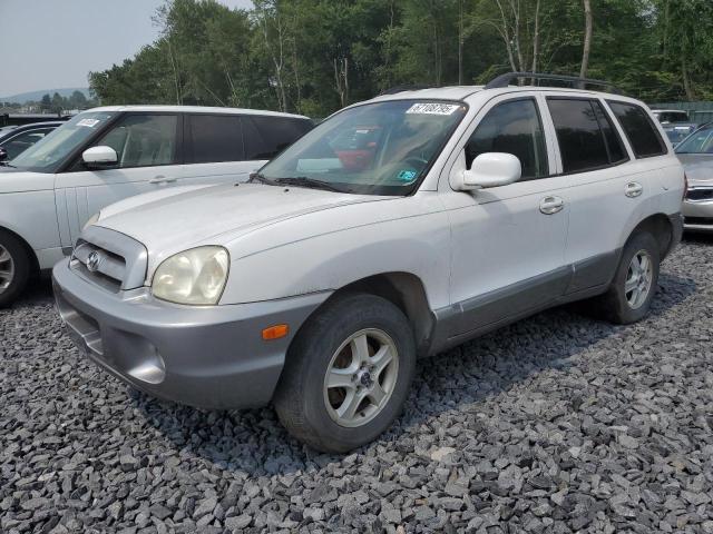 HYUNDAI SANTA FE 2003 with VIN KM8SC13D63U508602 - Photo from auction
