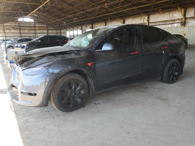 TESLA MODEL Y 2023 with VIN 7SAYGDEF0PA049584 - Photo from auction