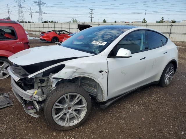 TESLA MODEL Y 2023 with VIN 7SAYGDEE5PA054268 - Photo from auction