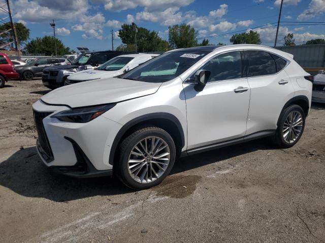 LEXUS NX 350H 2022 with VIN 2T2HKCEZ6NC003788 - Photo from auction