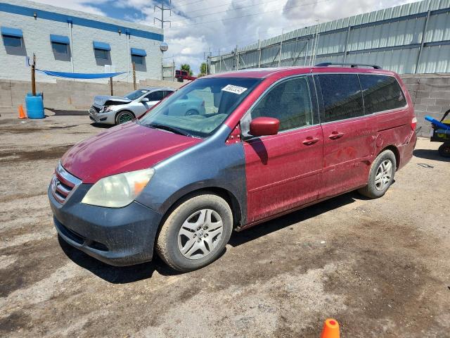 HONDA ODYSSEY EX 2006 with VIN 5FNRL38726B110351 - Photo from auction