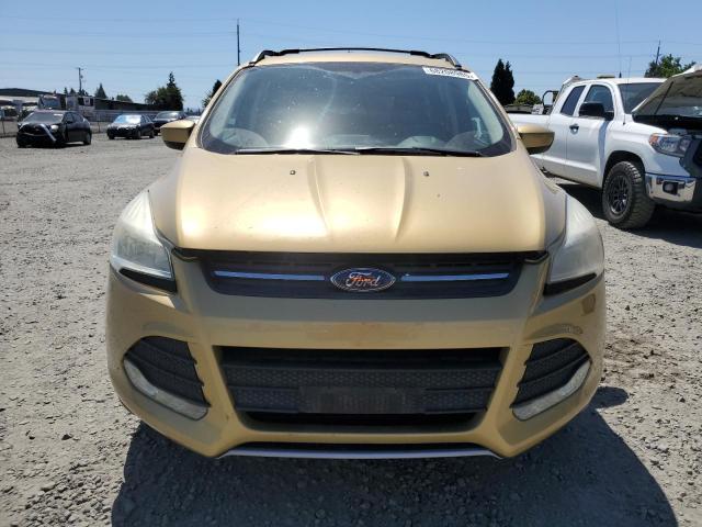 Photo 5 from auction – 2014 FORD ESCAPE SE with VIN 1FMCU9G96EUD17948