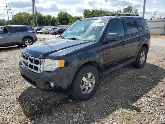 FORD ESCAPE LIM 2011 с VIN 1FMCU0E78BKC24594 - Фото с аукциона