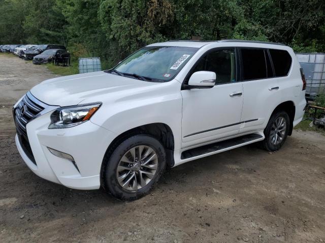 LEXUS GX 460 PREMIUM 2017 with VIN JTJJM7FX7H5168445 - Photo from auction