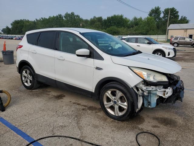 Foto 4 de la subasta – 2014 FORD ESCAPE SE con VIN 1FMCU0GX4EUE50508
