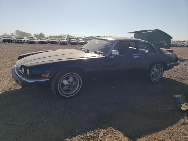 JAGUAR XJS 1985 con VIN SAJNV5842FC121536 - Foto de la subasta