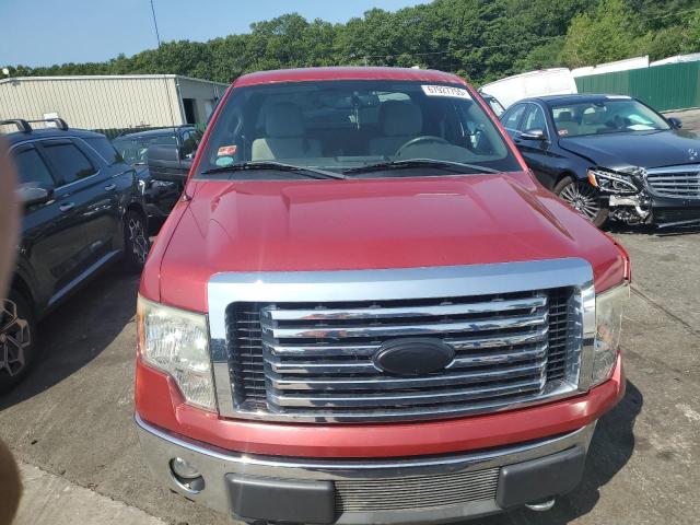 Photo 5 from auction – 2010 FORD F150 SUPER with VIN 1FTFX1EV0AFD64420