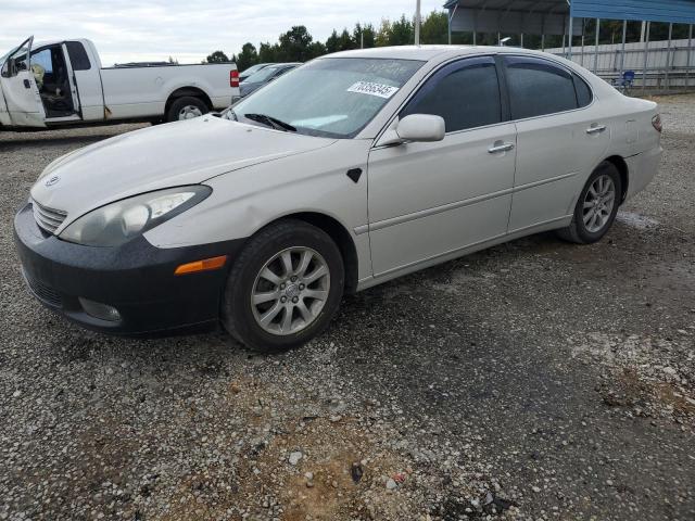LEXUS ES 300 2002 with VIN JTHBF30G820062835 - Photo from auction