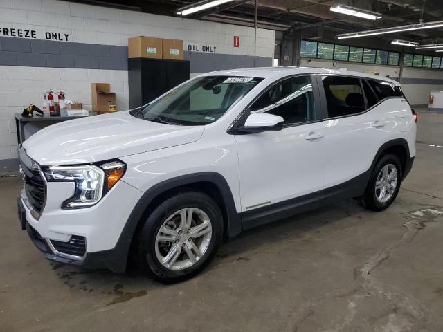 GMC TERRAIN SLE 2023 with VIN 3GKALMEG6PL171524 - Photo from auction