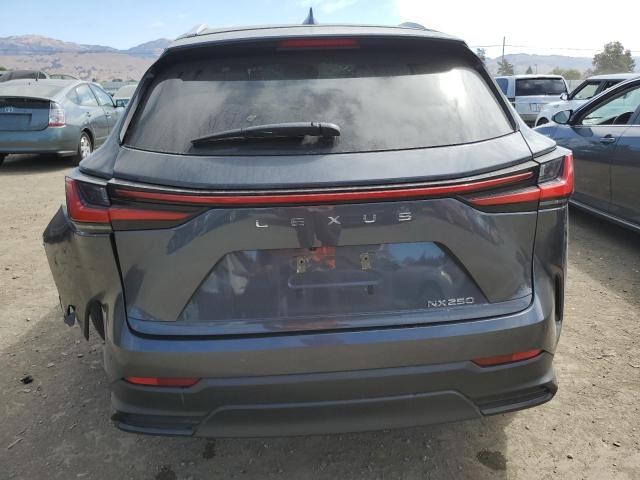 Photo 6 from auction – 2022 LEXUS NX 250 with VIN 2T2ADCAZ2NC001117