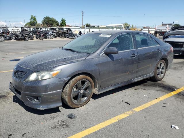 TOYOTA CAMRY BASE 2010 with VIN 4T1BF3EK3AU012555 - Photo from auction