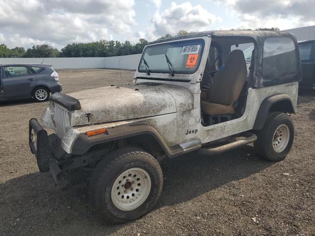 JEEP WRANGLER 1995 with VIN 1J4FY19P9SP295127 - Photo from auction
