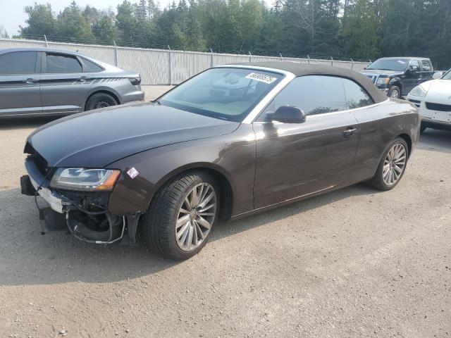 AUDI A5 PREMIUM 2010 with VIN WAULFBFH1AN006489 - Photo from auction