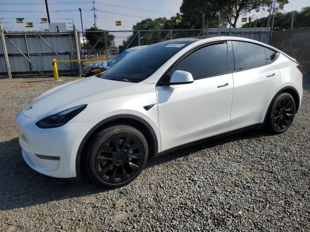 TESLA MODEL Y 2023 with VIN 7SAYGAEE2PF856195 - Photo from auction