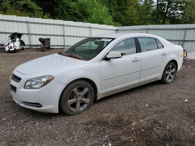 CHEVROLET MALIBU 1LT 2011 with VIN 1G1ZC5EU1BF112970 - Photo from auction