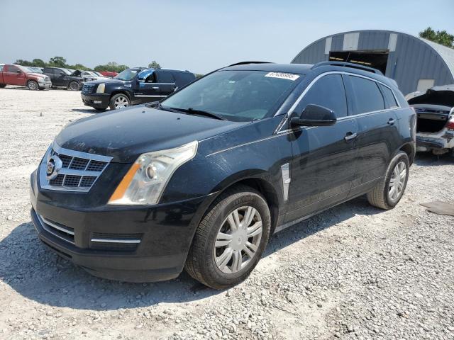 CADILLAC SRX 2010 with VIN 3GYFNGEY4AS597077 - Photo from auction