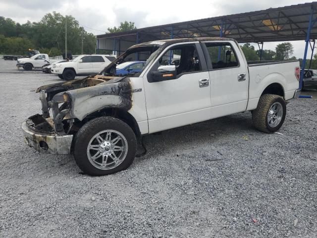 FORD F150 SUPER 2010 with VIN 1FTFW1CV4AFA36536 - Photo from auction