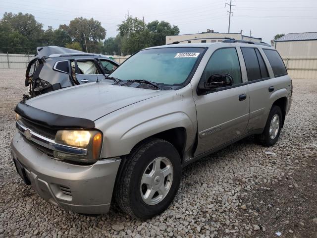 CHEVROLET TRAILBLAZE 2002 with VIN 1GNDT13S422528473 - Photo from auction