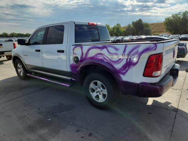 Photo 2 from auction – 2010 DODGE RAM 1500 with VIN 1D7RB1CP5AS127449