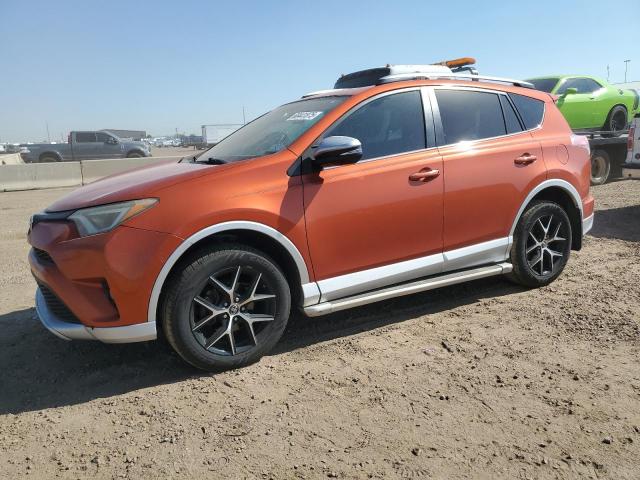 TOYOTA RAV4 SE 2016 with VIN 2T3NFREV7GW262410 - Photo from auction