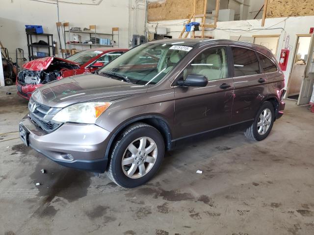 HONDA CR-V SE 2011 with VIN 5J6RE4H41BL106623 - Photo from auction