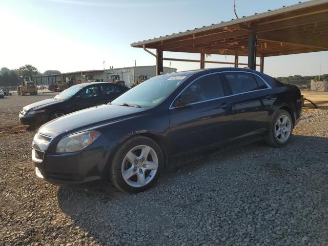 CHEVROLET MALIBU LS 2011 with VIN 1G1ZB5E1XBF206466 - Photo from auction